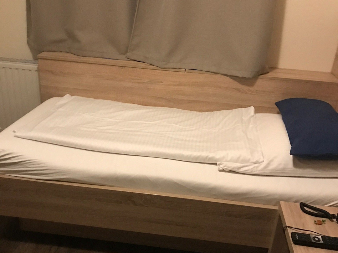 Schwarzer Adler主图