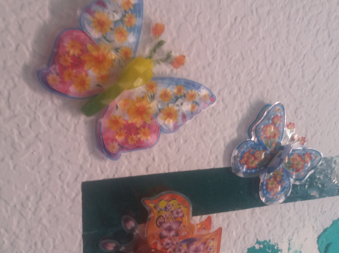 Hostal Nuevo Tropical主图