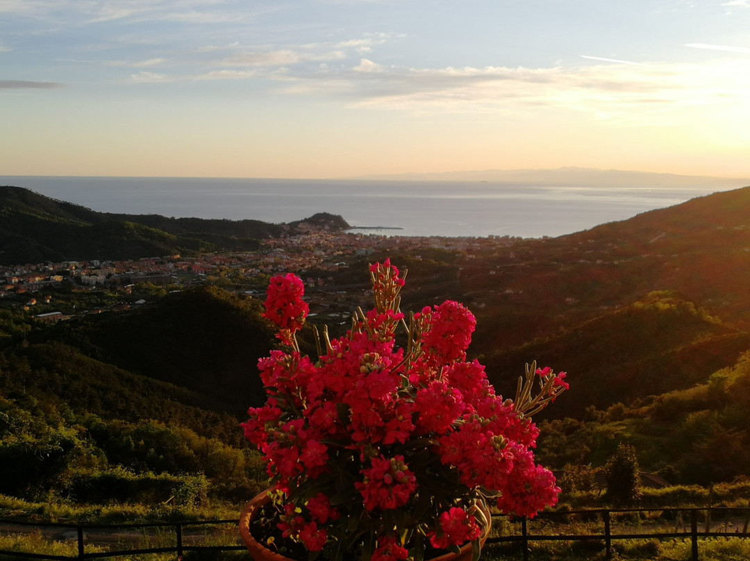 Casale In Vigna主图