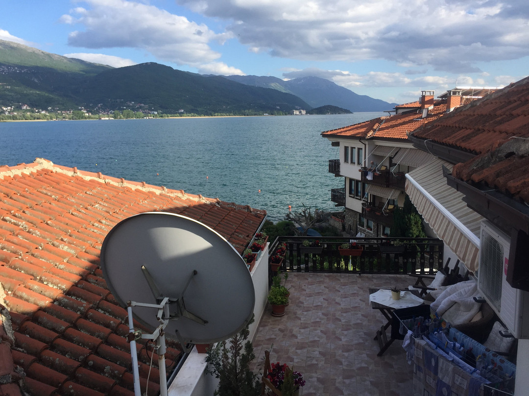 捷曼霍夫旅馆主图