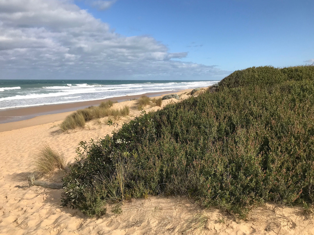 Stockyard Hill Surf Beach景点图片