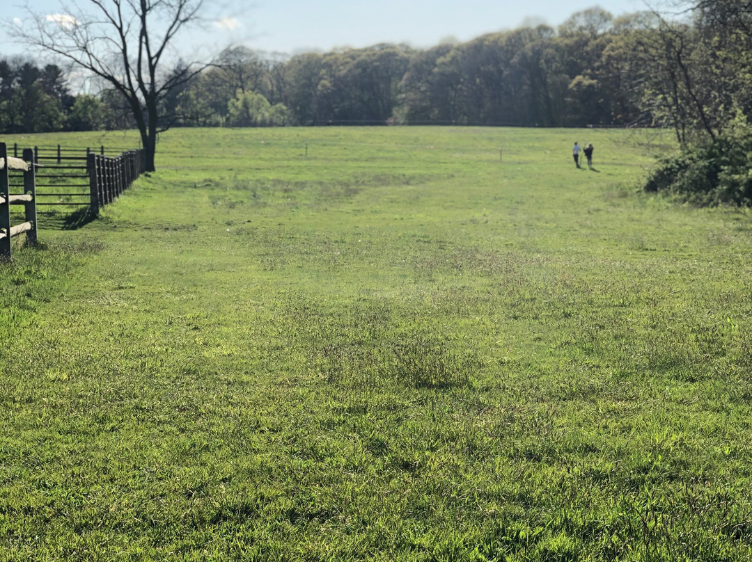 寇塞特国家公园-亨廷顿必去景点