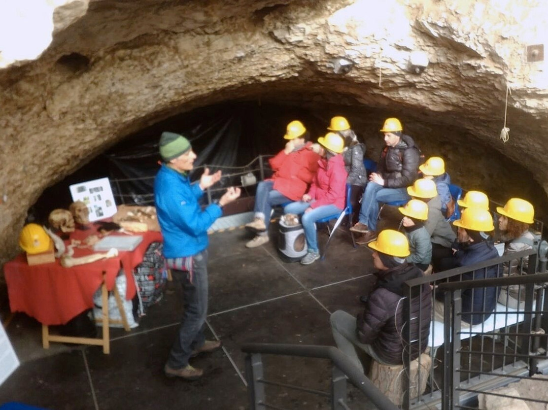 Happy Owl Tracks-维罗纳必去景点