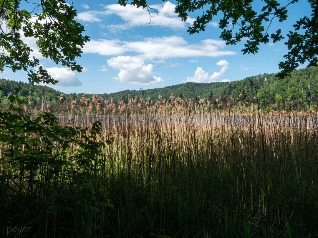 Turlersee-Hausen am Albis必去景点