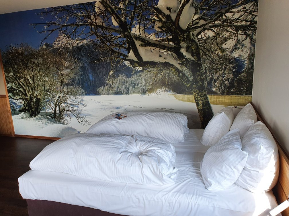 Alpine Hotel Snowworld主图