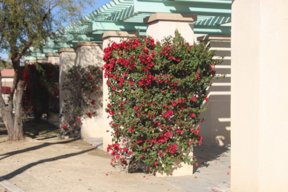 La Quinta Library-拉金塔必去景点