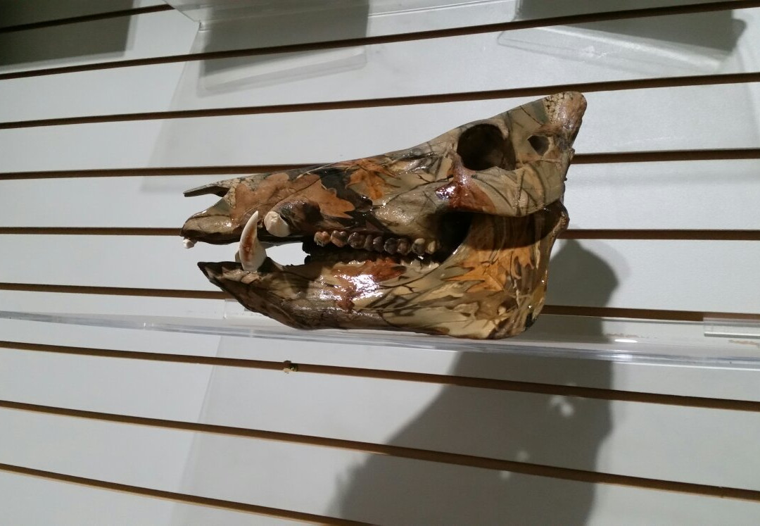 Hog Wild-Purcell必去景点