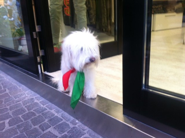 Borgo Vercelli旅游攻略图片