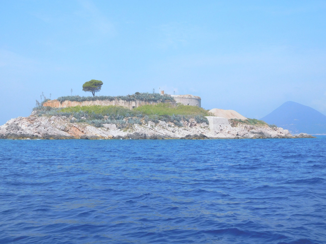 Mamula Fortress景点图片
