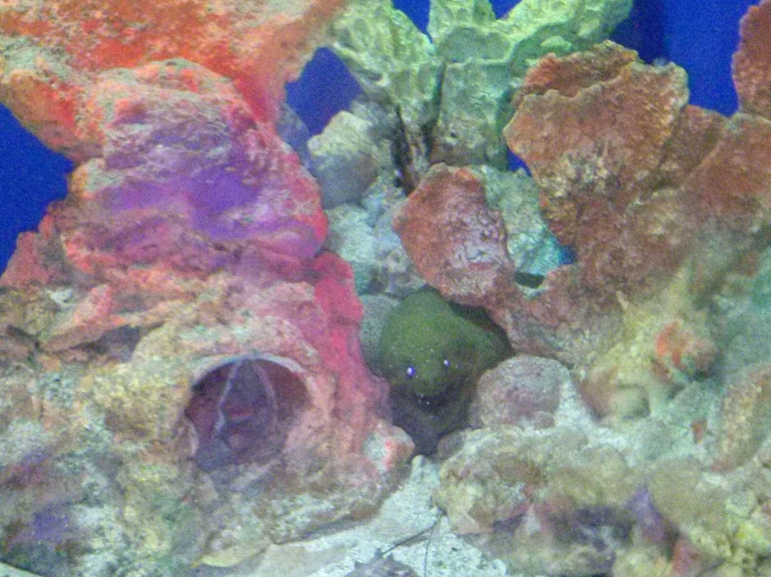 Oceanario-Islas de Rosario必去景点