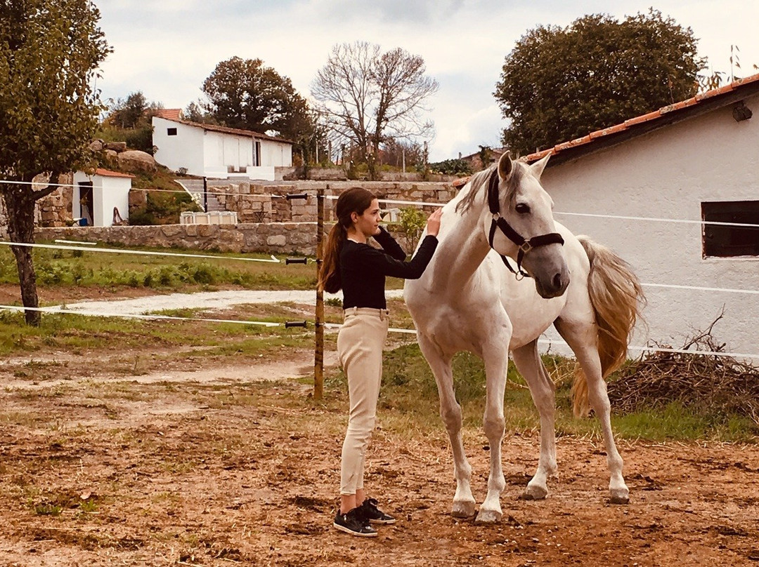 Quinta Lusitânia Riding School景点图片