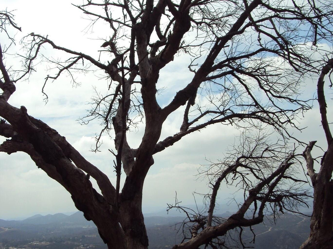 Mount Woodson Trail景点图片