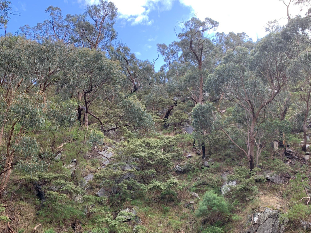 Anakie Gorge Walk-Anakie必去景点