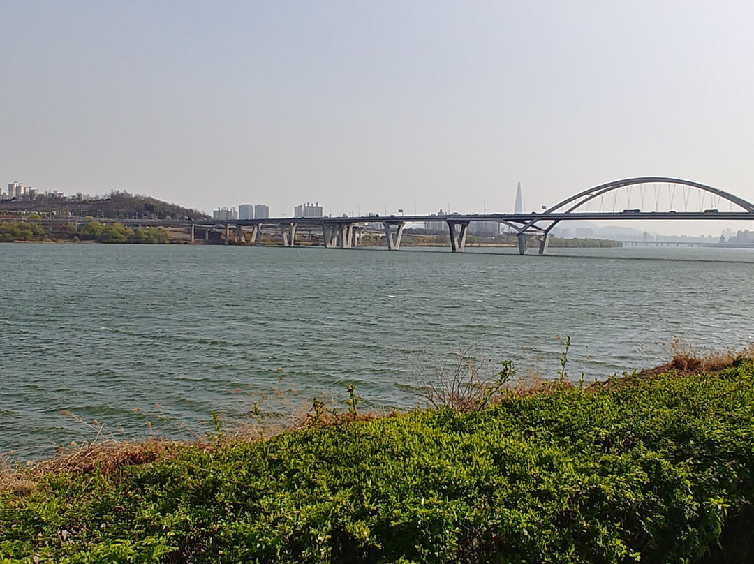 Guri Hangang Park (Cosmos Park)-九里市必去景点