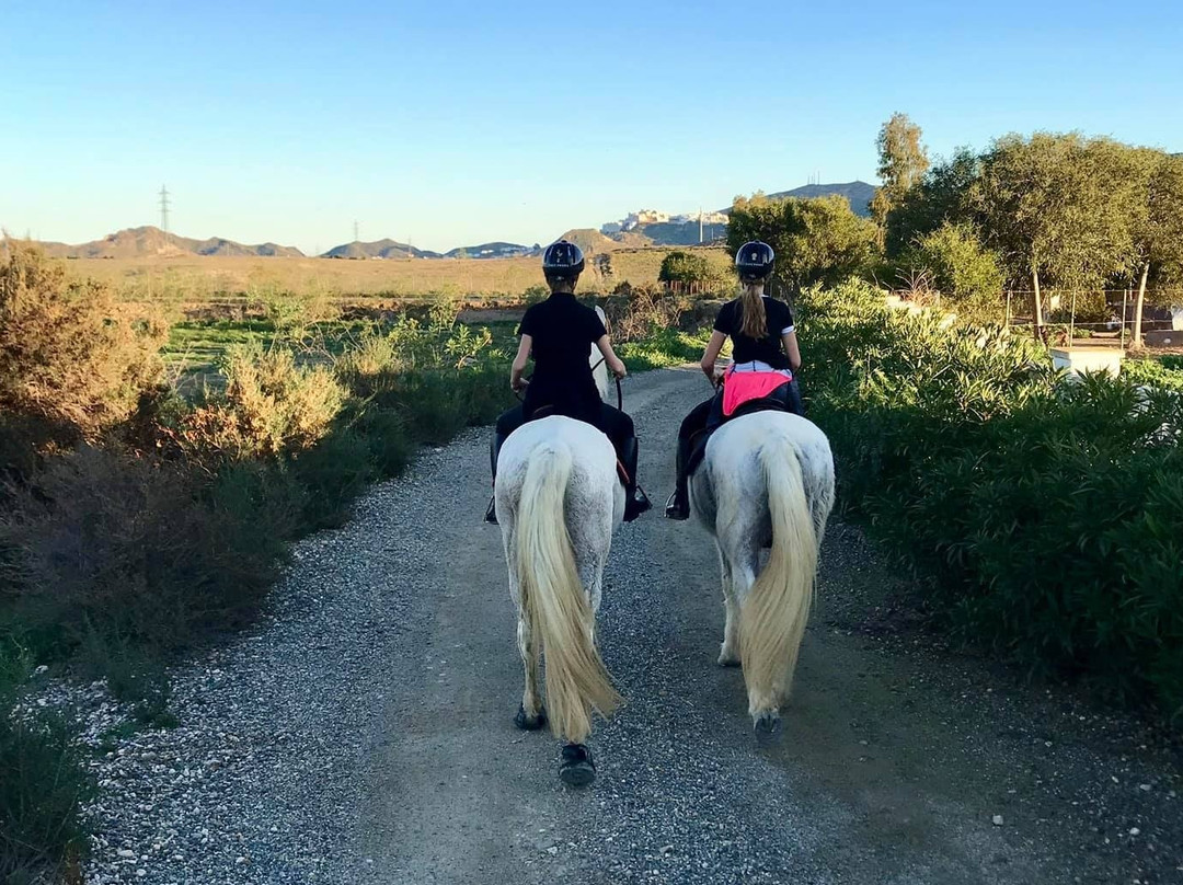 Trex Andalucia-图雷必去景点