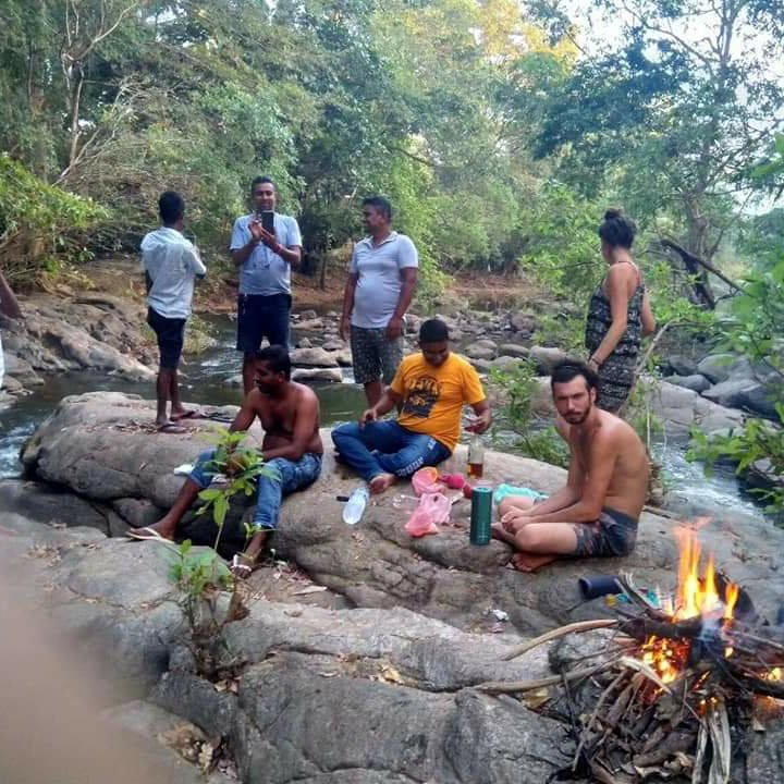 Yala Safari Resort主图