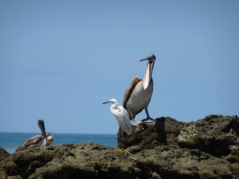 对方旅馆暨餐厅主图