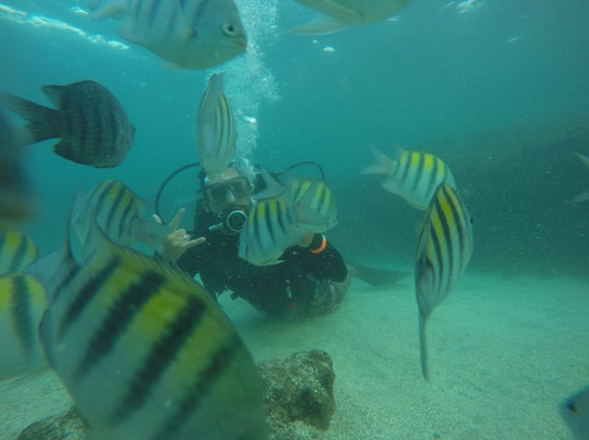 Rota do Sol-嘎林海斯港必去景点