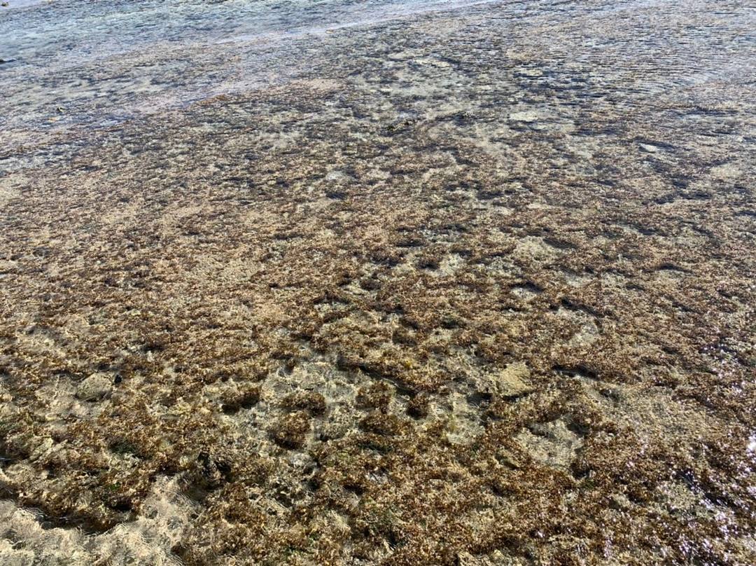 Ukabijima Island景点图片