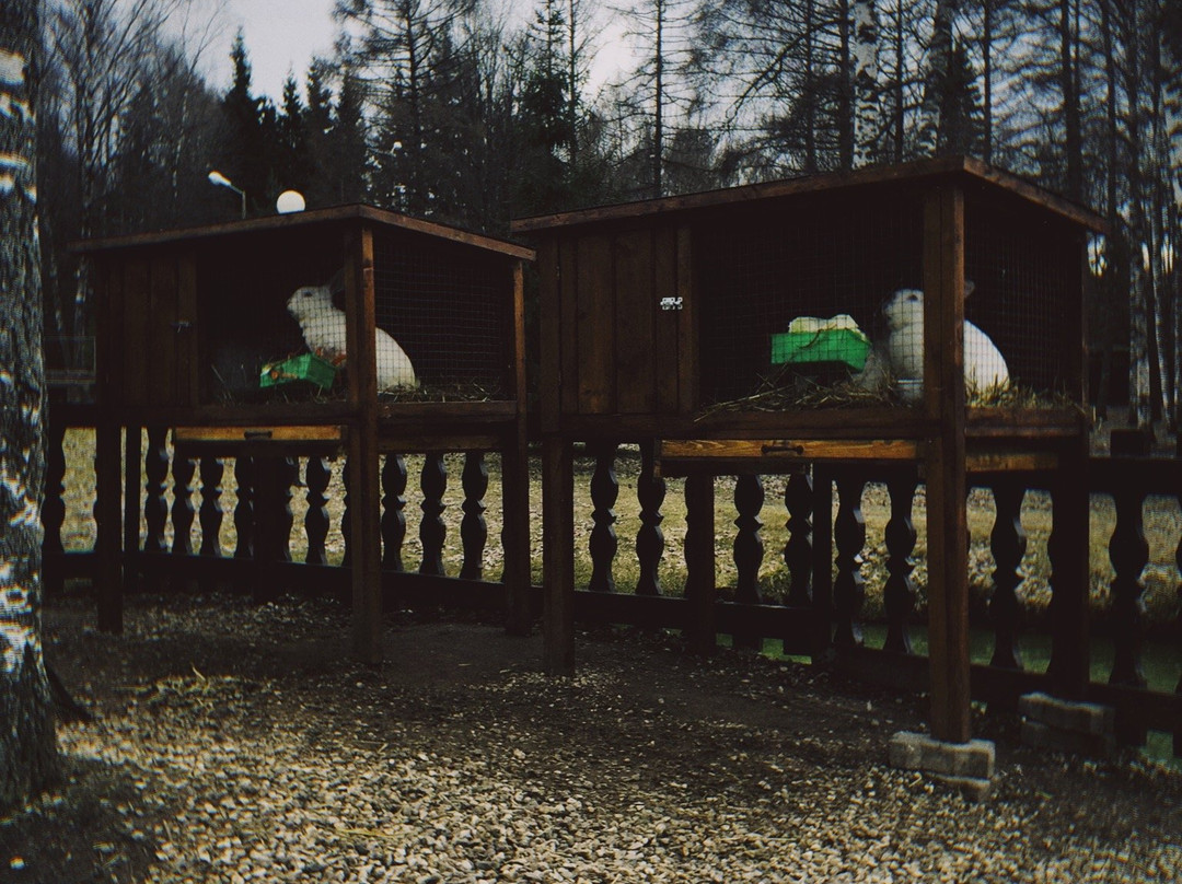 Zvenigorod Park Hotel主图