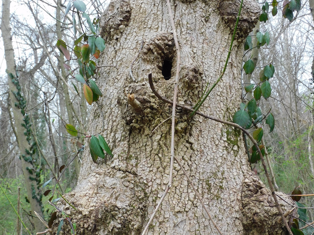 Pony Pasture Park (James River Park System)-里士满必去景点