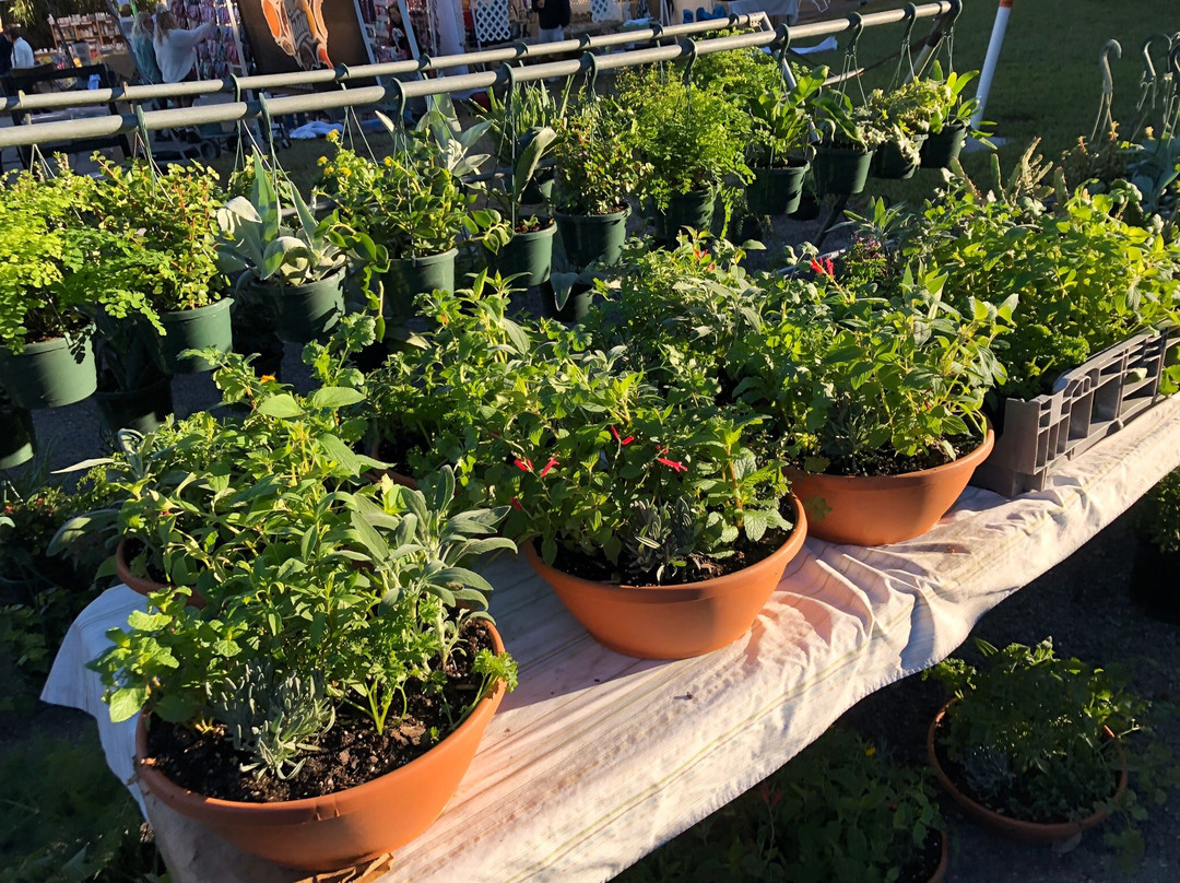 Fernandina Beach Market Place-费尔南迪纳岛必去景点