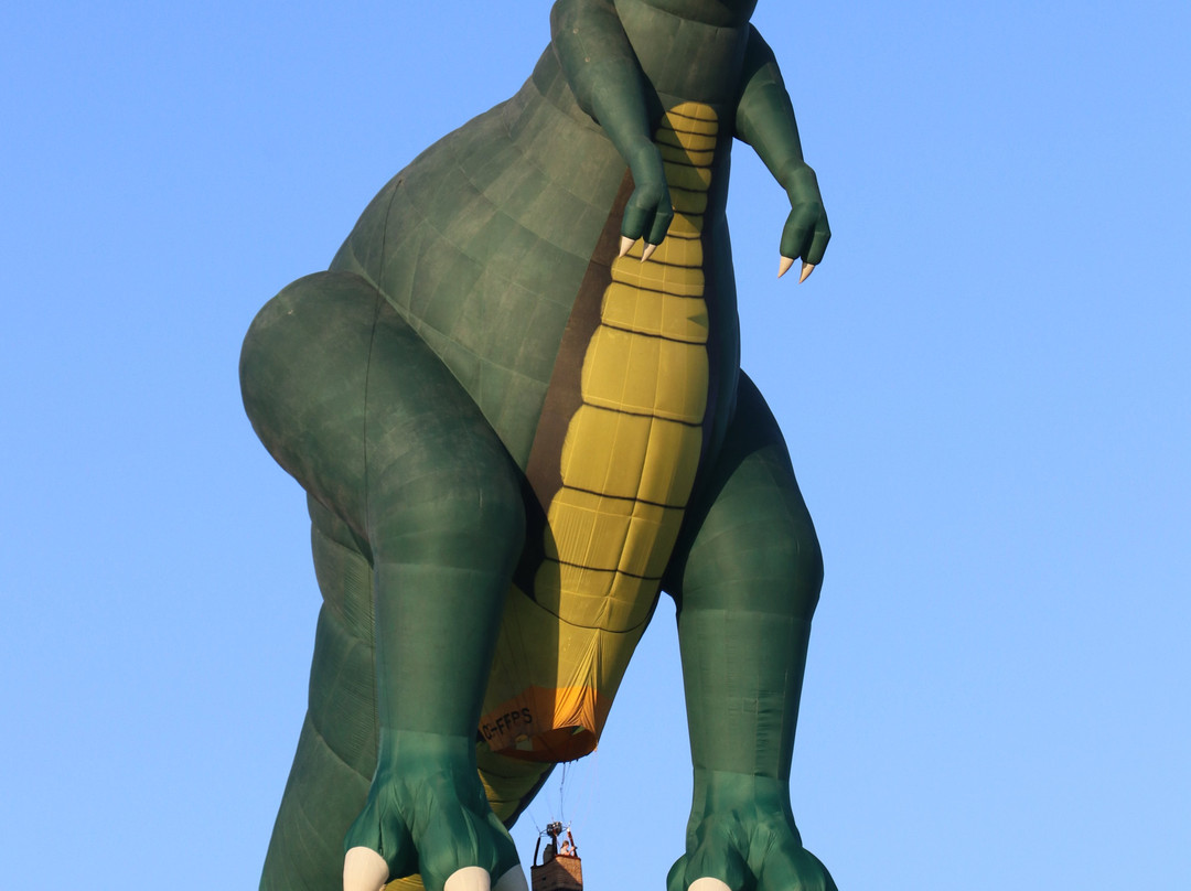 Balloon Aloft Canberra-堪培拉必去景点