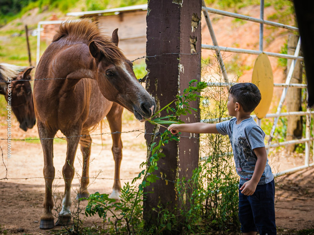 Hotel Fazenda Santa Maria主图
