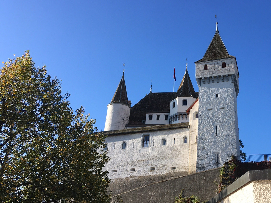 Nyon Region Tourism-尼永必去景点