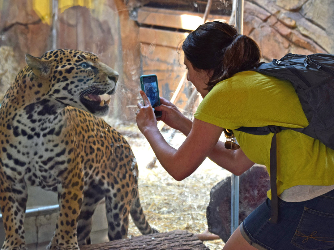 Elmwood Park Zoo-Norristown必去景点