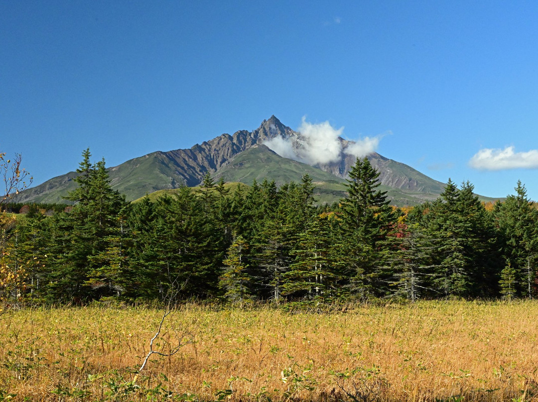 Minamihama Wetland-利尻富士町必去景点
