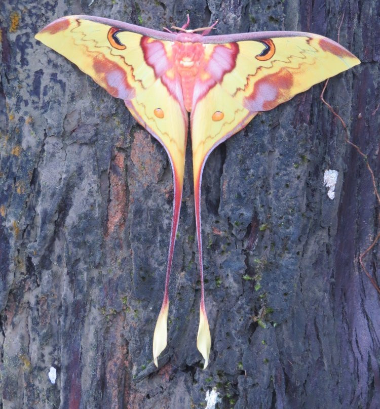 Stephen's Place B&B主图