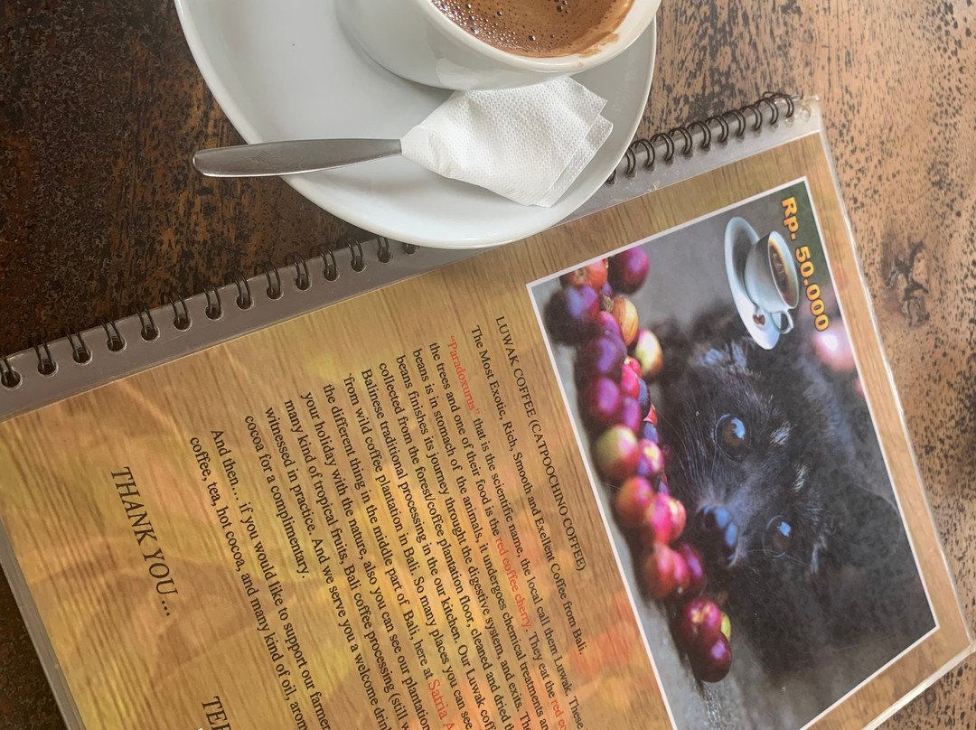 Kowi Bali Tour-登巴萨必去景点