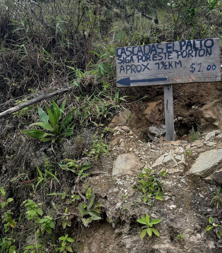 Cascada El Palto-Vilcabamba必去景点