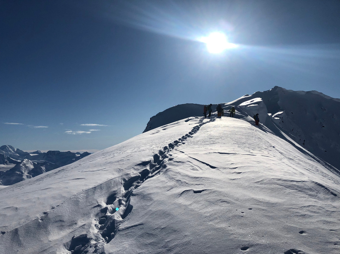 Chugach Powder Guides景点图片