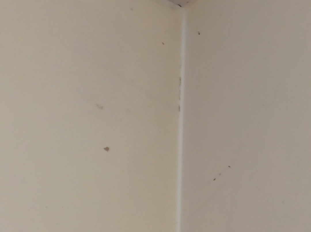 Hazelwood House主图