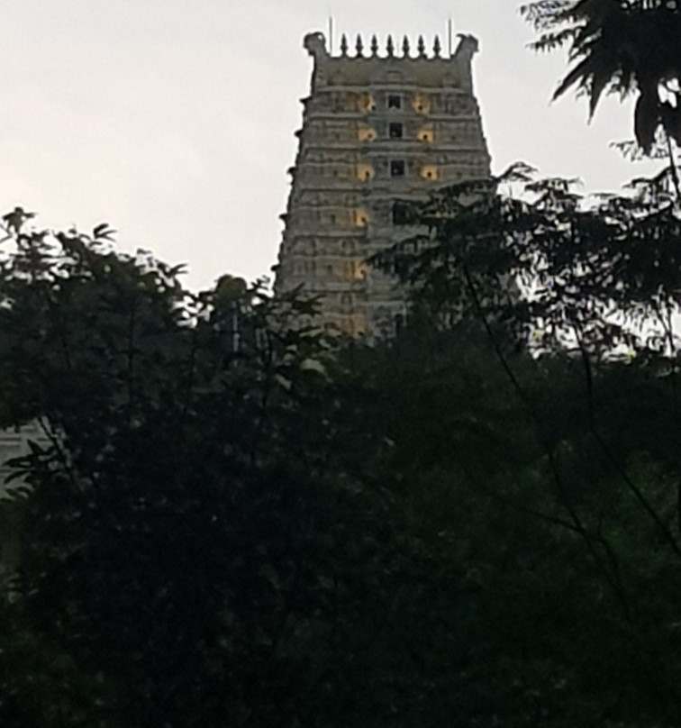 Arulmigu Balathandayuthapani Temple-乔治城必去景点