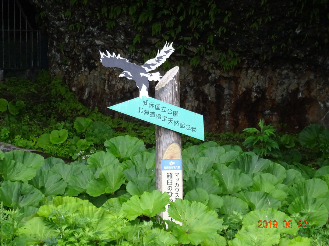 Maccaus Cave景点图片