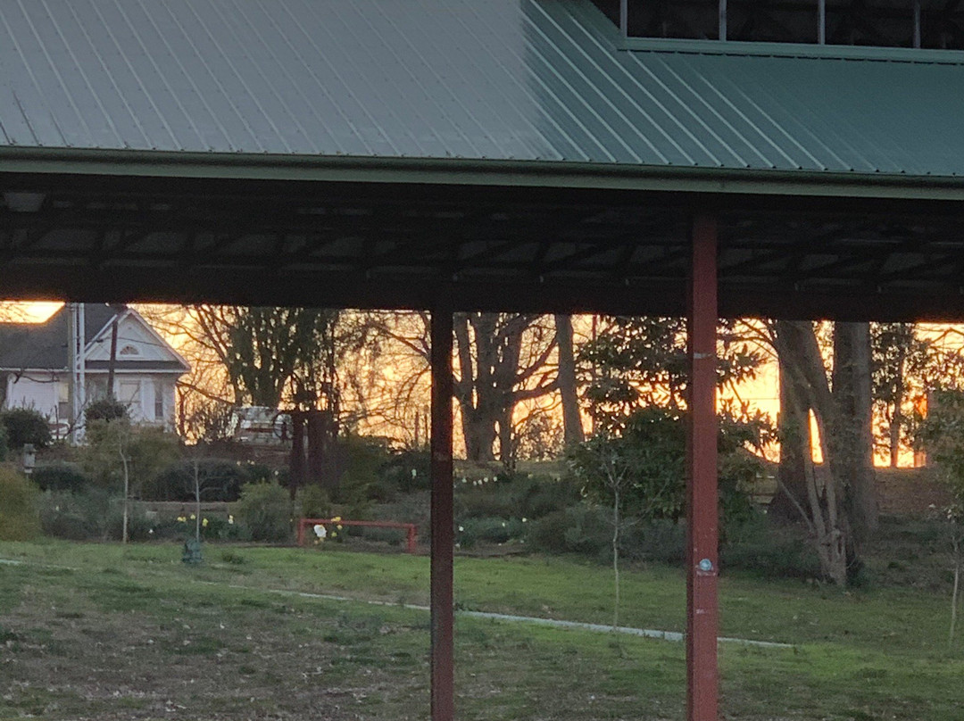 Durham Central Park景点图片