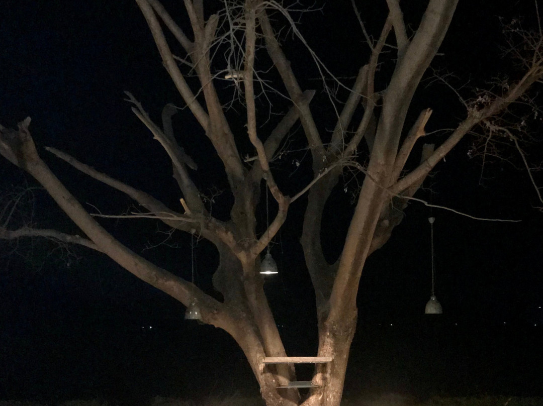 拉姆格尔港威酒店主图