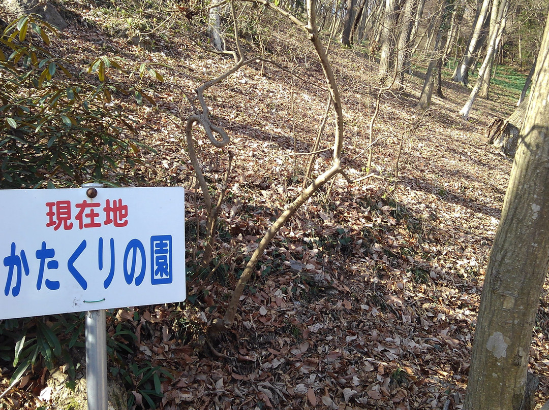 Mikamoyama Park景点图片