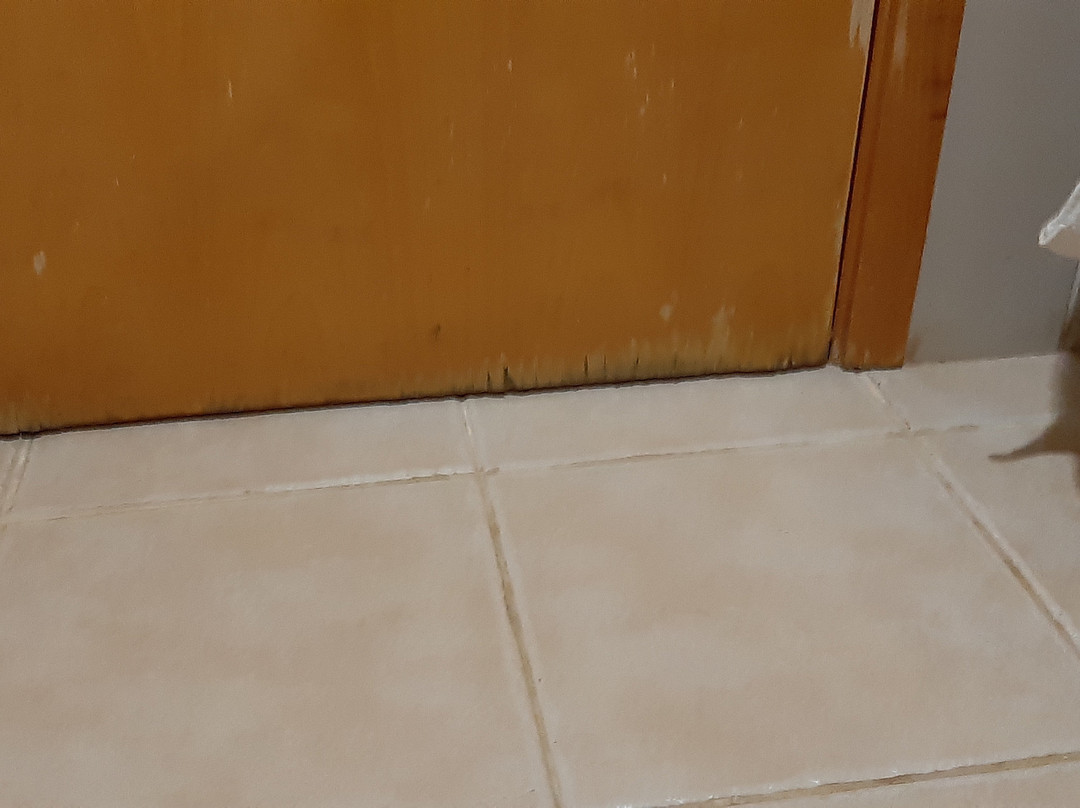 Pestana Tropico主图