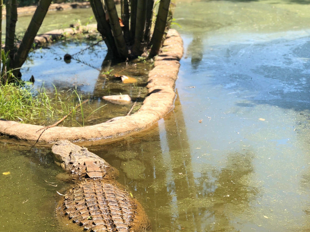 Perry's Bridge Reptile Park景点图片