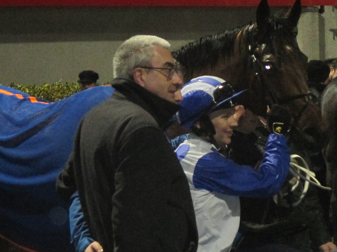 Dundalk Stadium-Dundalk必去景点