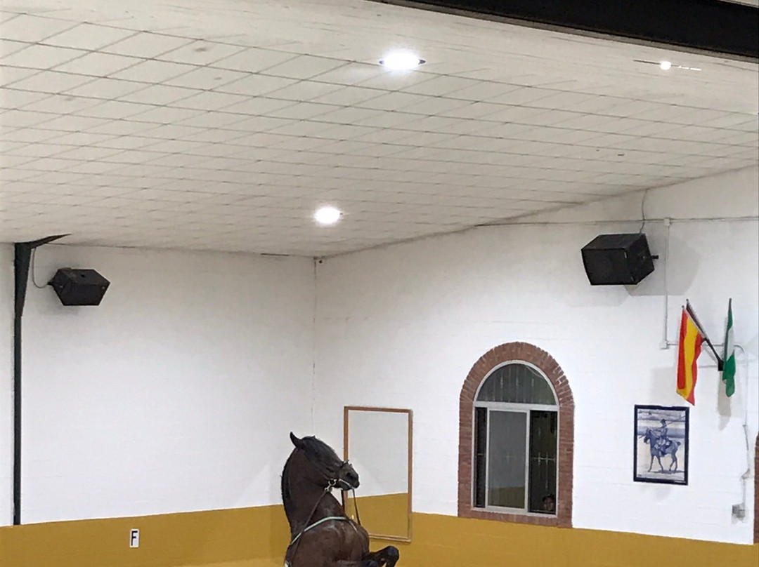 Ritmo a Caballo & Andalusian Night-托雷莫里诺斯必去景点