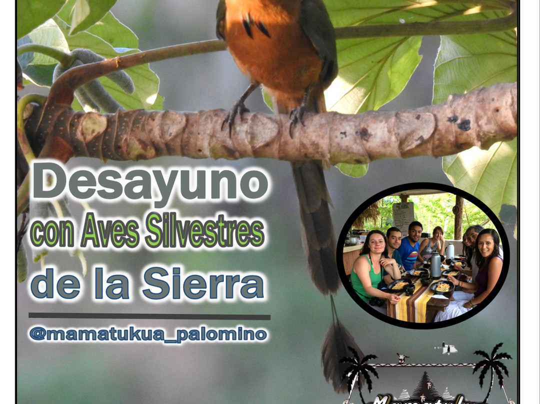 Mamatukua Aventura Salvaje-帕洛米诺必去景点