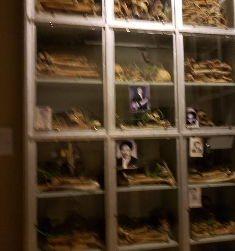 Red Terror Martyrs Memorial Museum景点图片