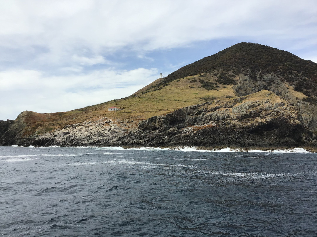 Poor Knights Island Marine Reserve景点图片