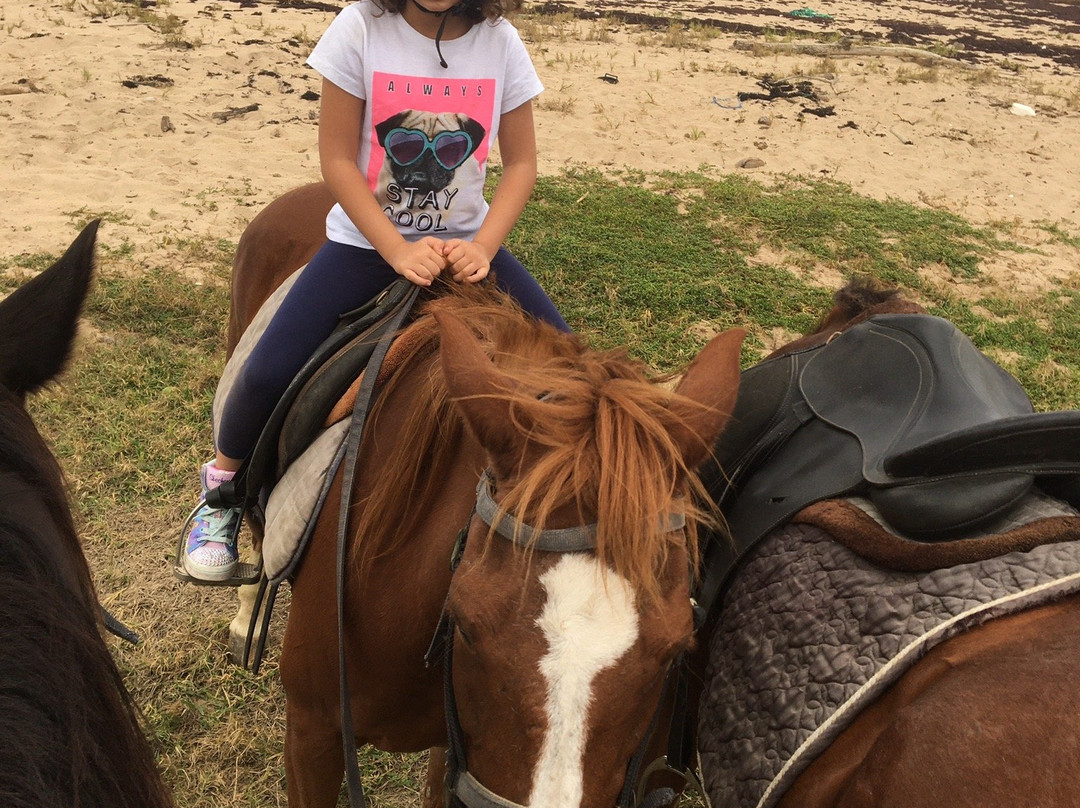 Ride Barbados-Saint Andrew Parish必去景点