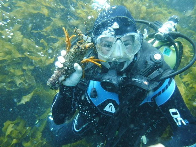 Dive Zone Whitianga-菲蒂昂格必去景点